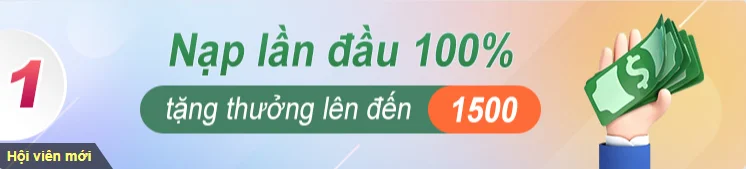 firs deposit bonus 100%